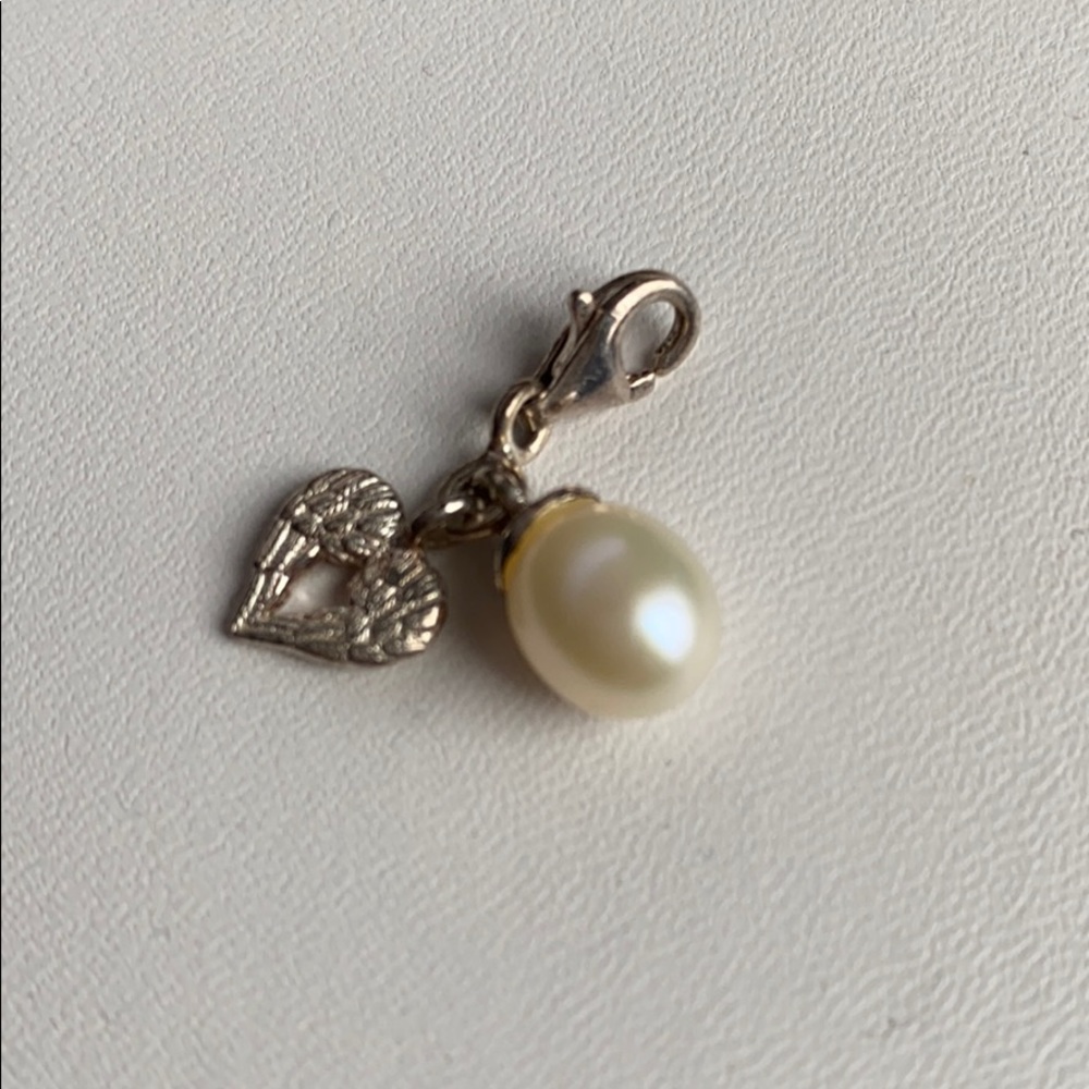 Pandora charm